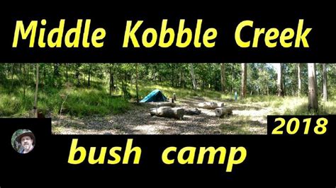 middle kobble bush camp  Skinks and keelbacks (freshwater snakes) can